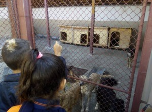 43108922_152098862400069_7438315647894814720_n