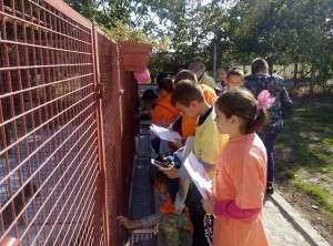 43115056_1914698415275704_3138244698091552768_n