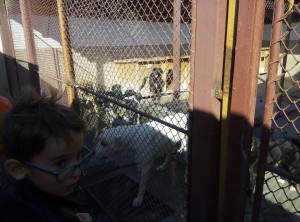 43223414_107899003458870_3764906509914341376_n