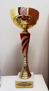 56970924_2388724481355901_408599622055886848_n