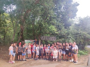 IMG-cebaa11c5c9c197329785b70039b6565-V