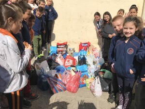 IMG-2d5b9d47eaa48ff277b0b5b40643b810-V