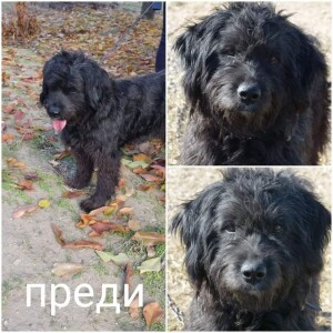 IMG-9f3ba6995e56876be544aa3ae21ead5e-V