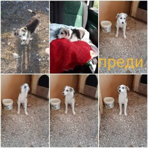 IMG-ba93161787b42757a53cc20d8d806b13-V